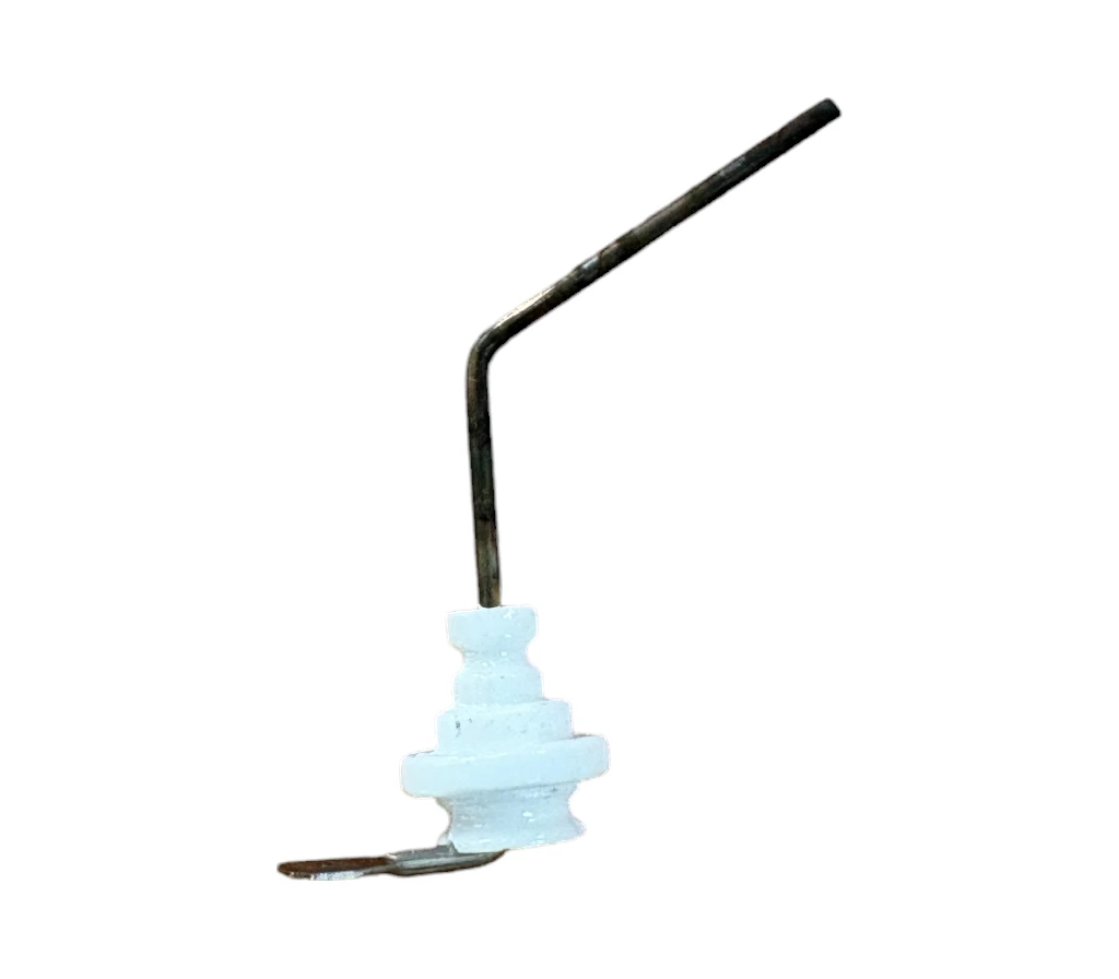 electrodo-ionizacion-caldera-8738722272-otro-lateral